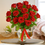 Enchanted Roses OFERTA!, Nicaragua, Nicaragua