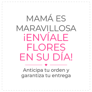 Oferta en Nicaragua
