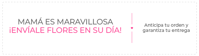 Oferta en Nicaragua